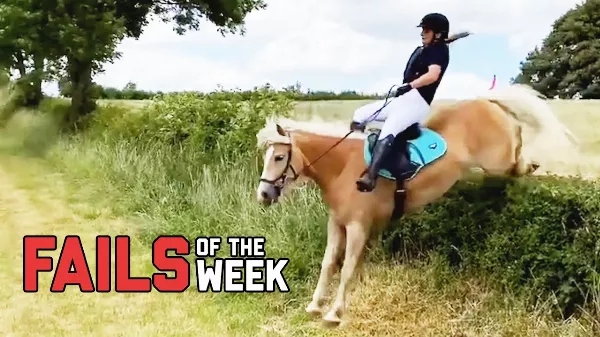 Rosszul sikerült lovaglások 🏇! Most biztos megszakadsz a nevetéstől! 🤣😂
