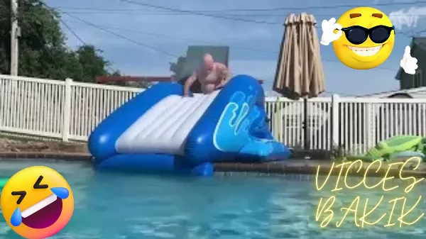 Legjobb vicces videók 😂🤣 - ha nevetni akarsz egy nagyot, akkor tessék!