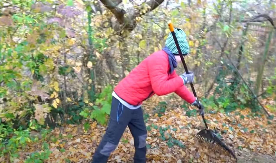 zöldhulladék gereblyézés kerti munka  
