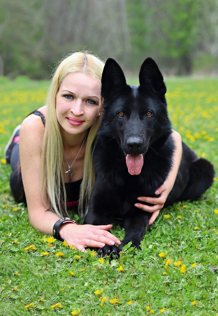 kutya barátság szeretett hűség