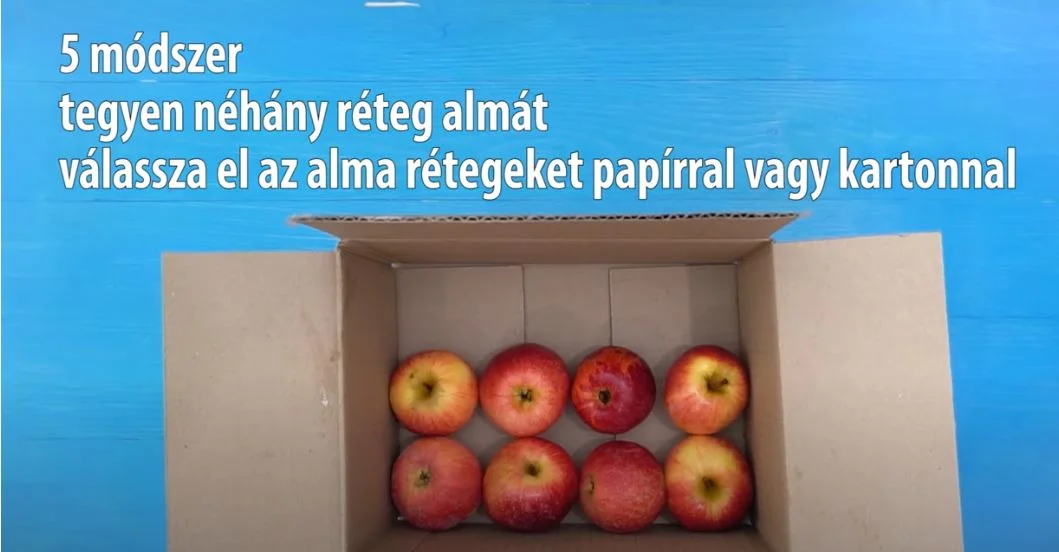 alma tárolás karton papír