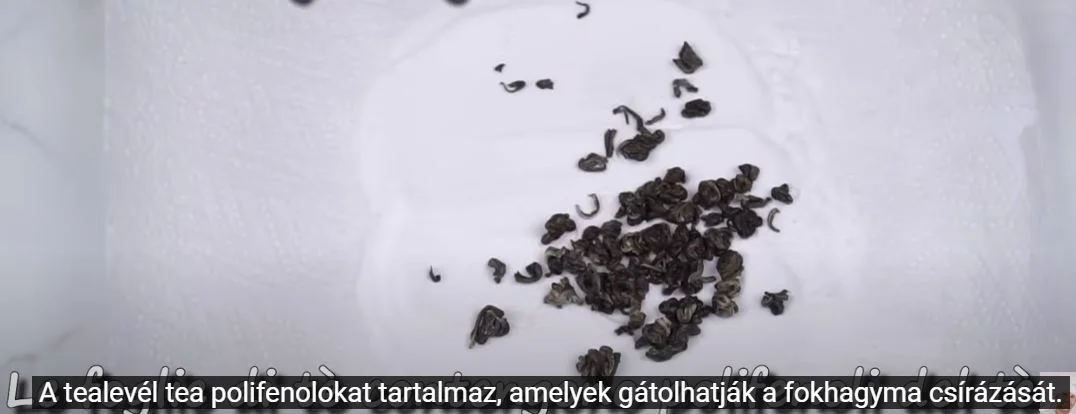 Fokhagyma tárolás tealevél