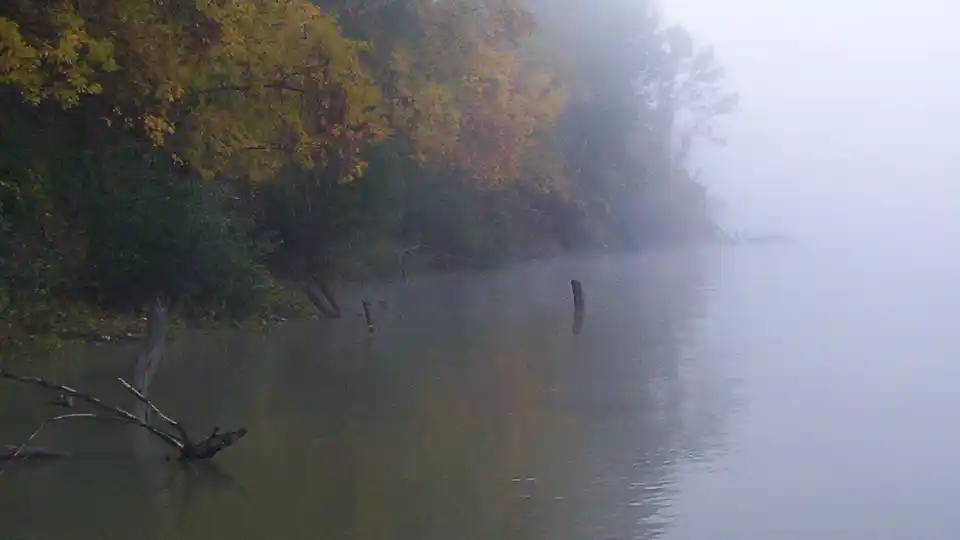 Tisza ködben