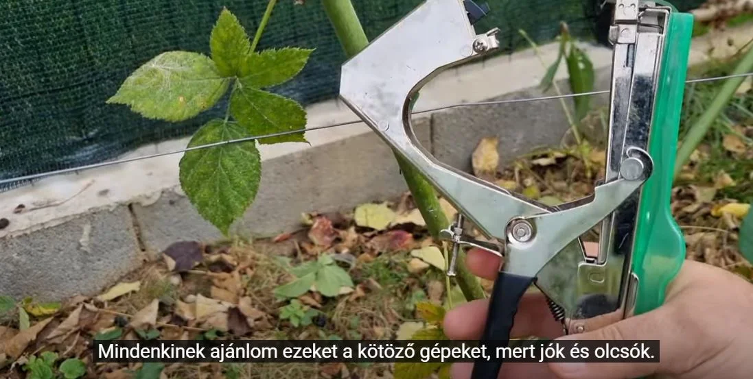 konyhakerti kötöző