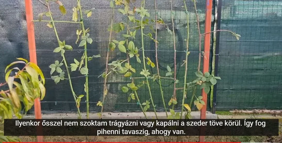 trágyázás kerti munkák