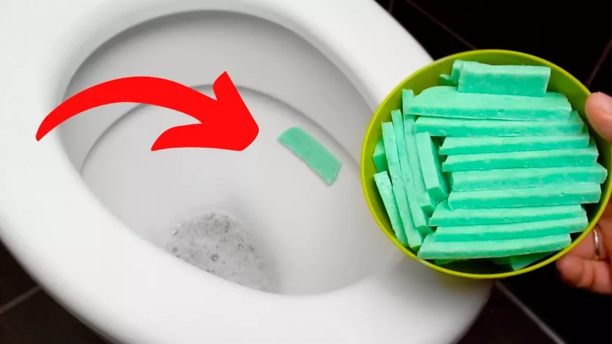 A vízvezetékszerelők titkolják ezt a receptet. Gyors, hatékony és olcsó lefolyó tisztítószer. Így lesz mindig tiszta a WC!