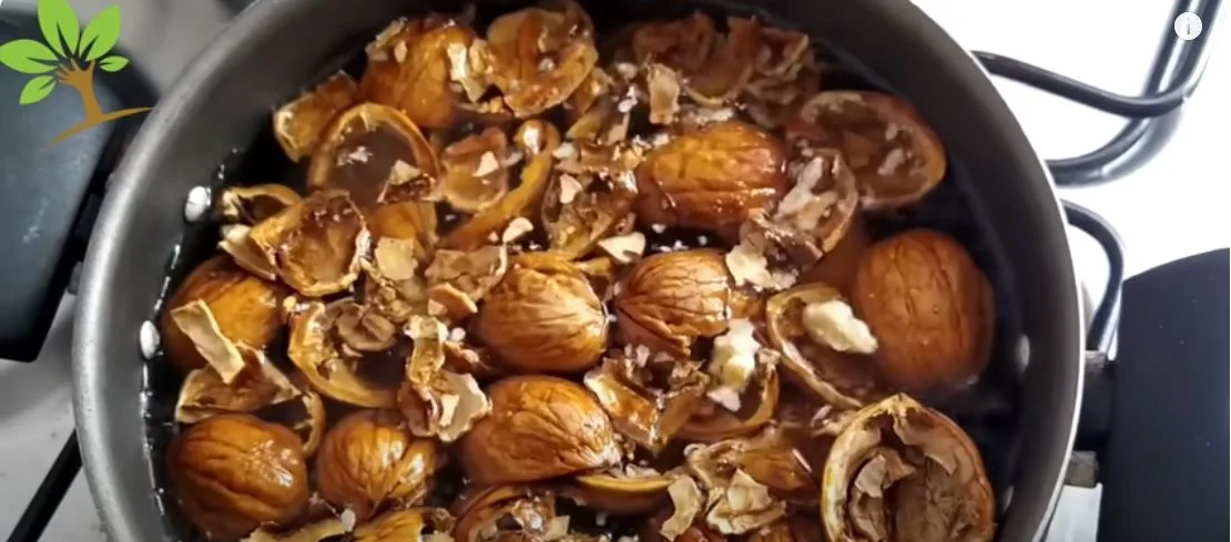 dió héj