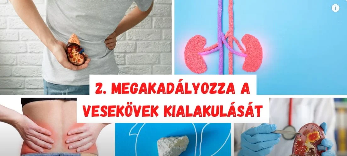 Citrom víz gyógymód gyógyhatás frissítő üdítő egészség vese betegség