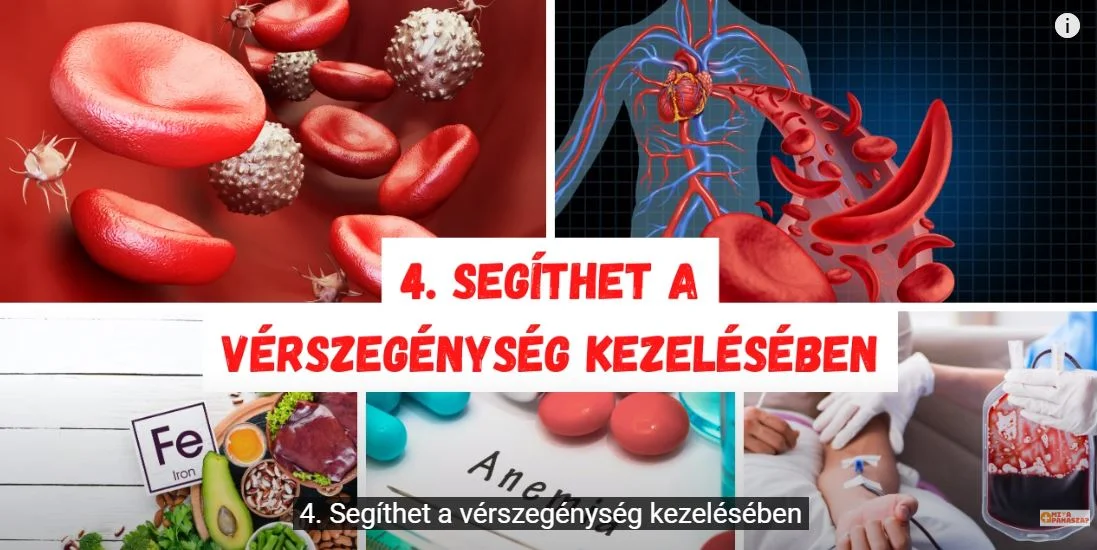 Citrom víz gyógymód gyógyhatás egészség vérszegénység vér véradás