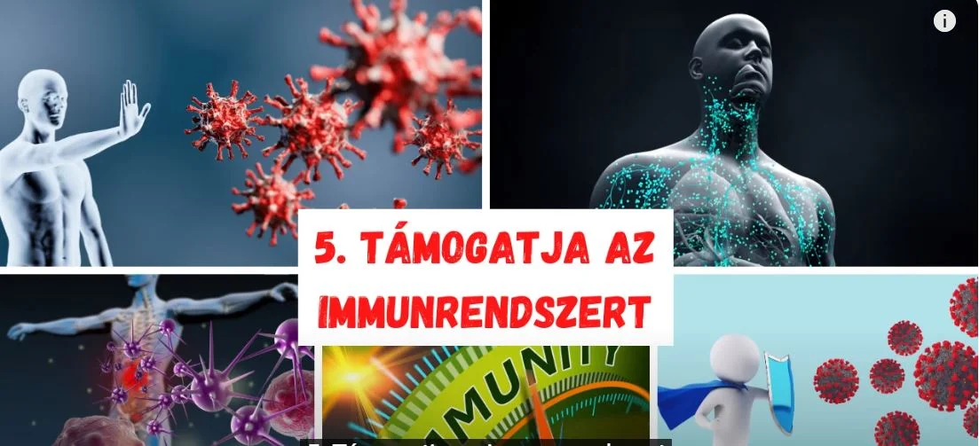 Citrom víz gyógymód gyógyhatás egészség immunrendszer betegség baktériumok