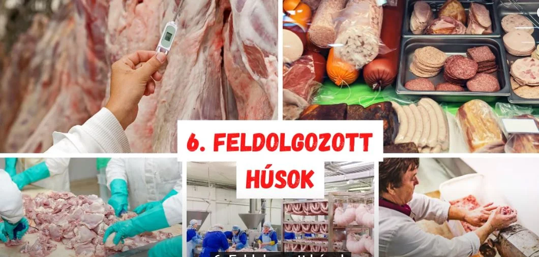 Vese emberi  szerv szervezet gyógyítás betegség feldolgozott élelmiszer kolbász szalámi étel tartósítószer