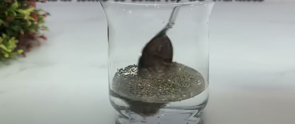 chia