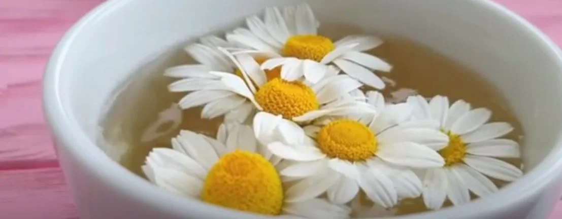 kamilla tea