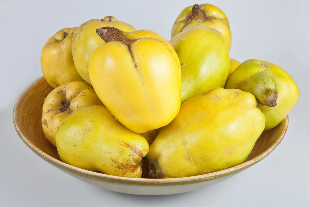 birsalma