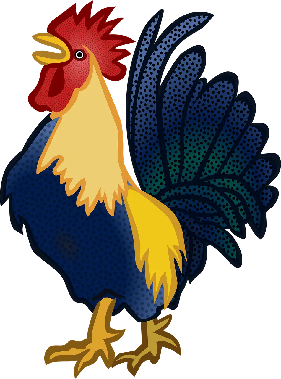 kakas