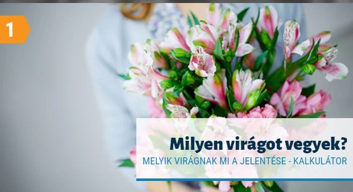 virág kalkulátor