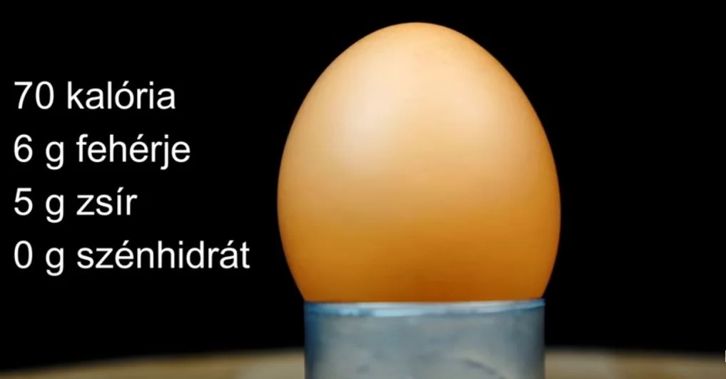 tojás