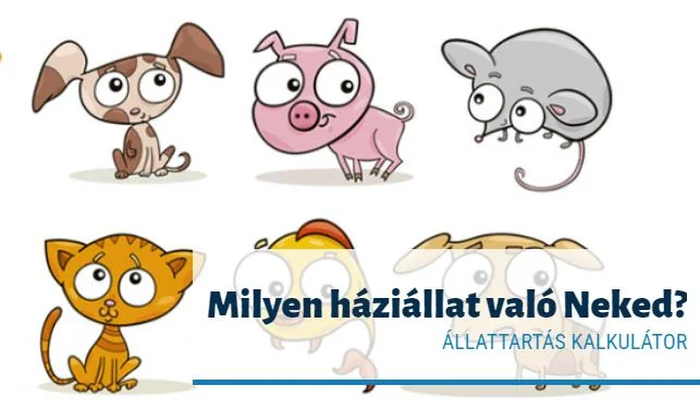 állat kalkulátor