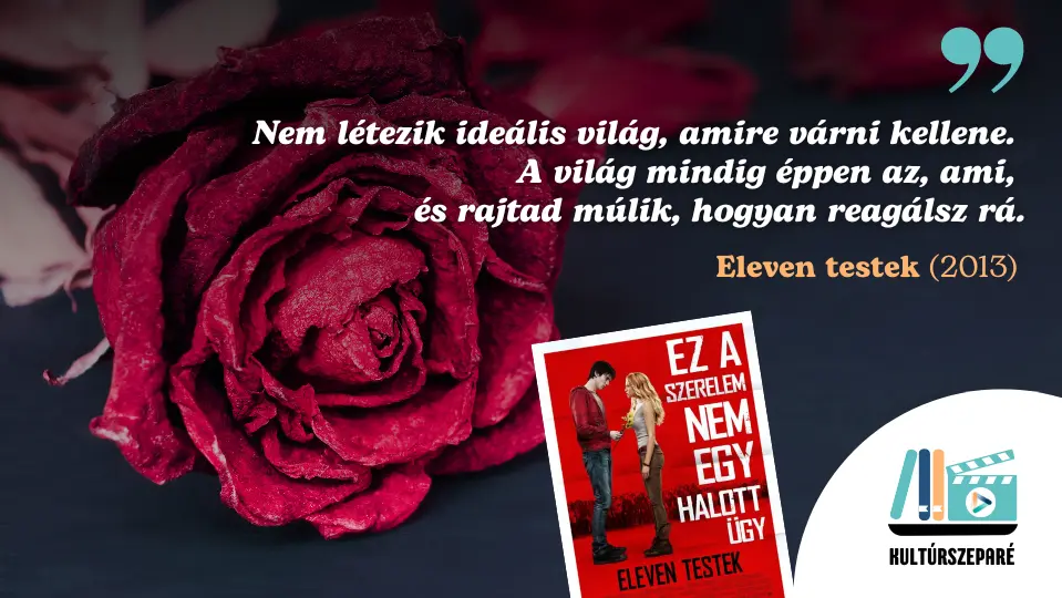 eleven testek