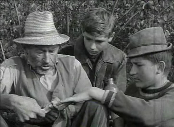 Tutajos