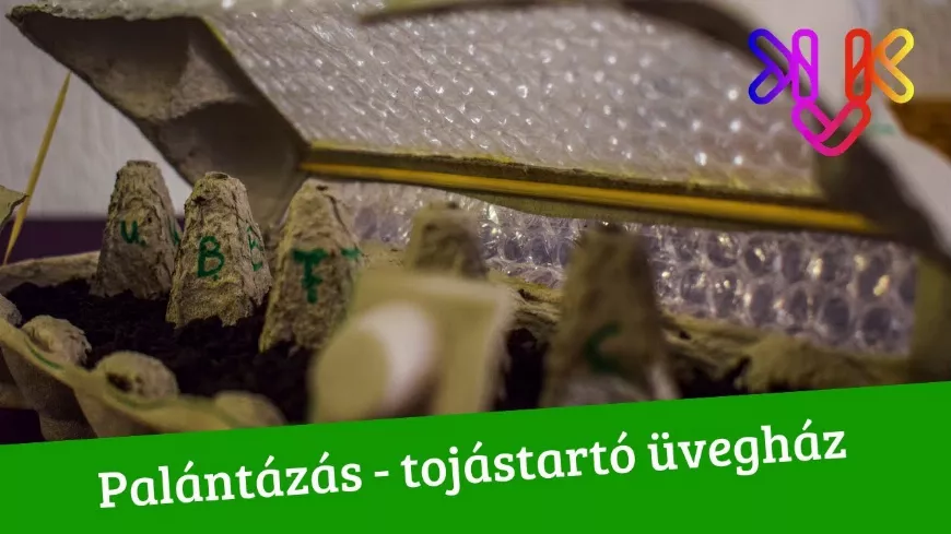 Palántázás tojástartóban | Tojástartó üvegház házilag