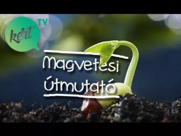 Így vesd el a magokat hogy egész nyáron saját, ízletes zöldségeid legyenek