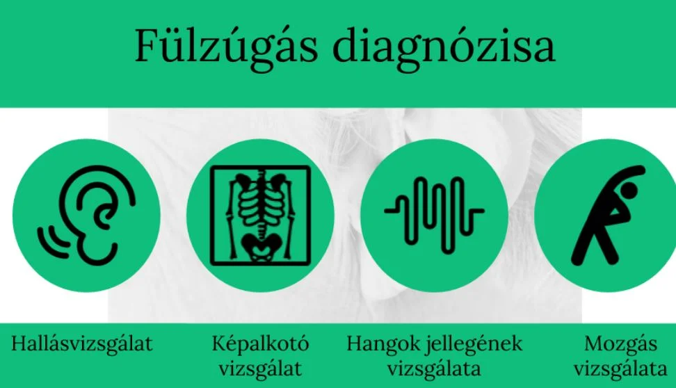 füzlúgás megszüntetése