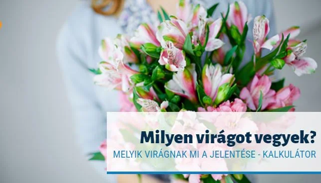 virág kalkulátor