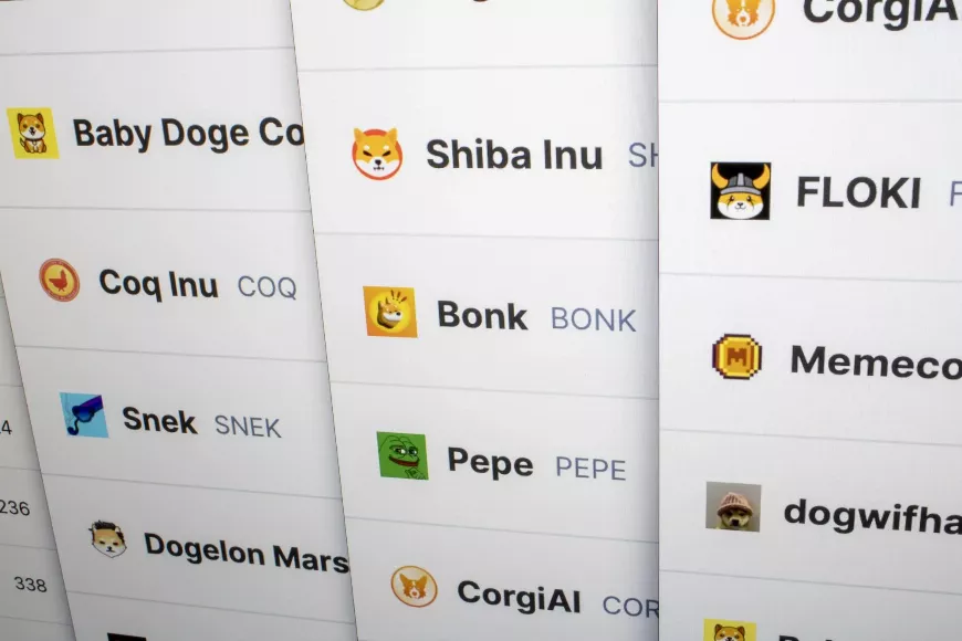 Ezek a memecoinok mozognak! A KangaMoon 125%-os áremelkedést ért el, a Pepe (PEPE) 8,84%-ot, a Dogecoin (DOGE) Myro (MYRO) pedig történelmi csúcsot ért el