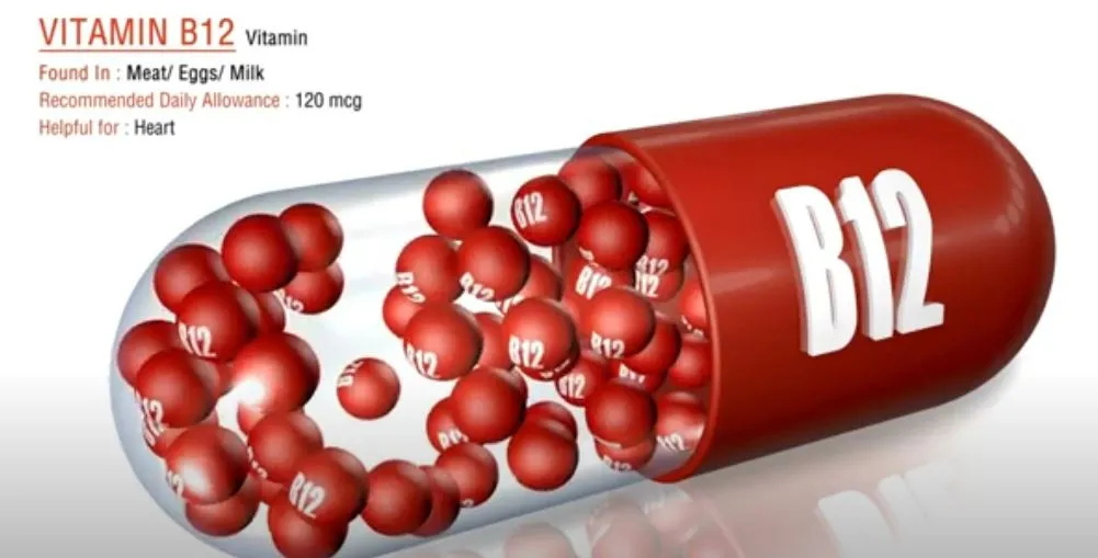 b12 vitamin