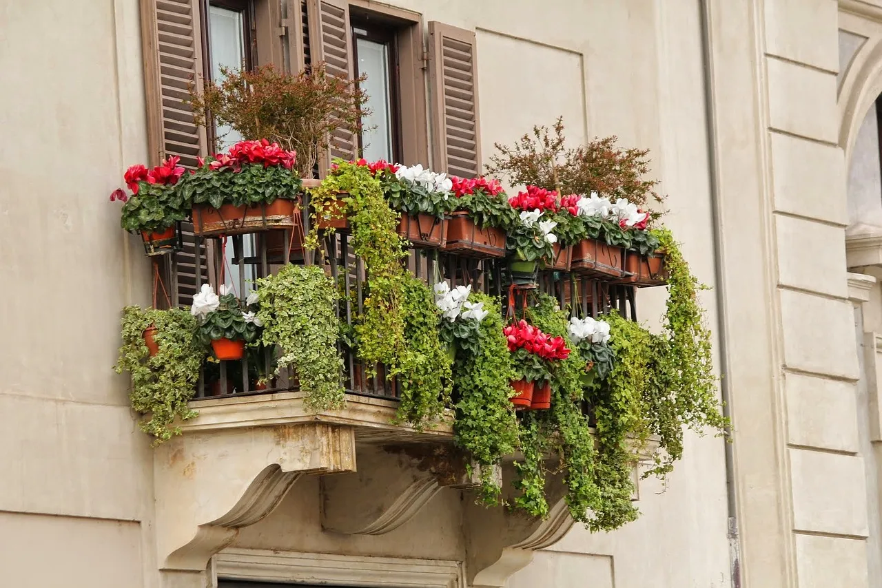 balkon erkély virág