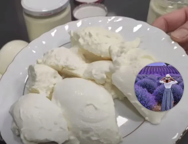 joghurt