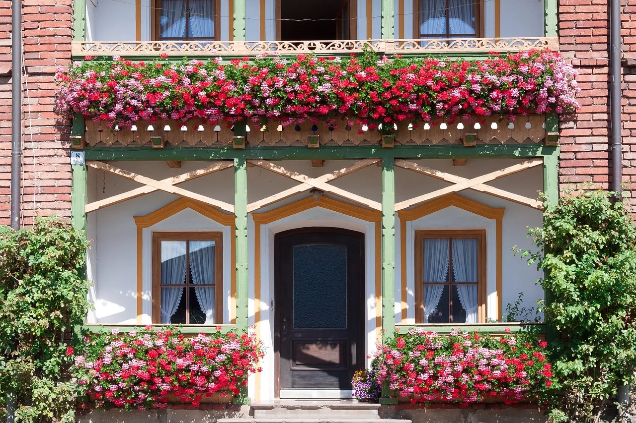 balkon muskátli