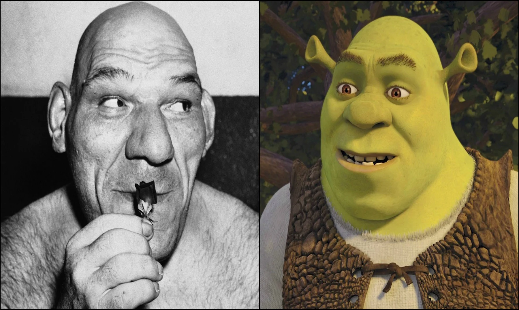 shrek 