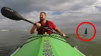 6 sokkoló cápatámadás, ami után kétszer is meggondolod, hogy vízbe menj