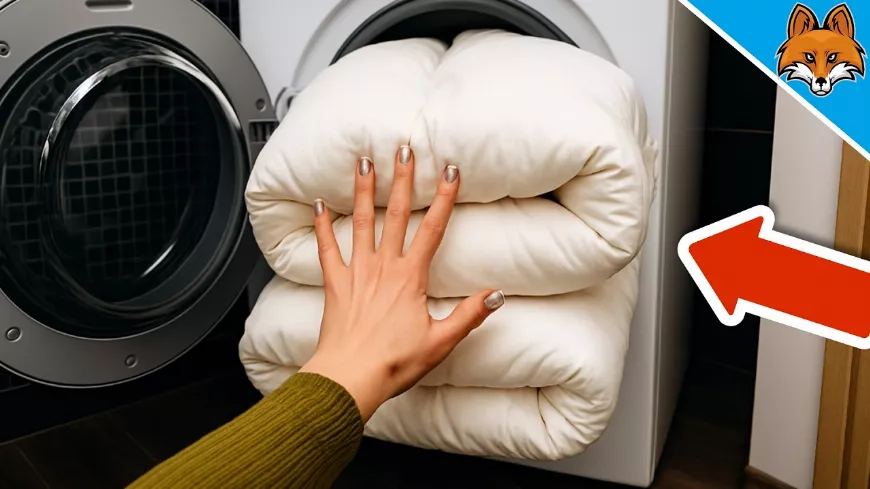 A pehelypaplan mosásának rejtett szabályai, amelyek a legtöbben nem tudnak