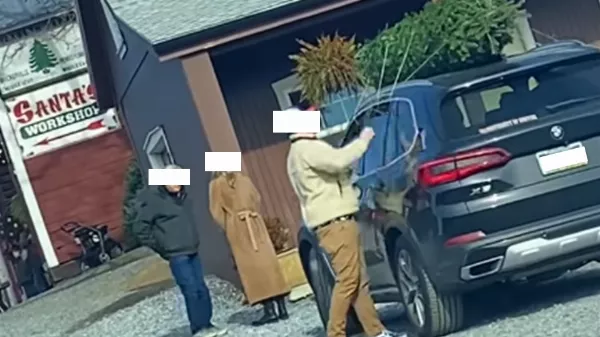 Hogyan szálítsuk a fenyőfát BMW-vel? Videós útmutató!