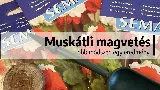 Muskátli vetése titkok nélkül: így indul a virágzás már a magtól