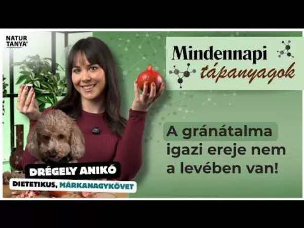 A gránátalma titka: a legerősebb antioxidáns nem a lében van